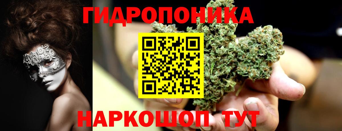 Бошки Шишки OG Kush  МАРИХУАНА план  Марихуана MAZAR  Королёв  Вход с VPN 